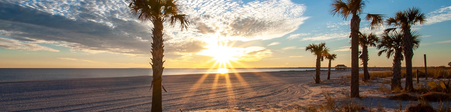 A beach with palm trees and the sun setting over the ocean.
