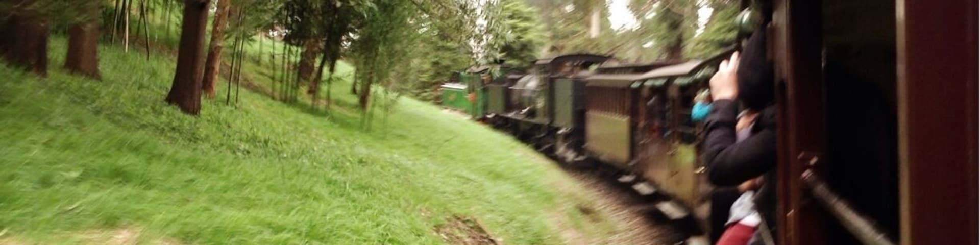 A steam train revamped as a tourist attraction. The stations, attendants, and carriages are all so very charming. You even get to stick your arms and legs out of the sides during the trip. Feels like an amusement park ride.