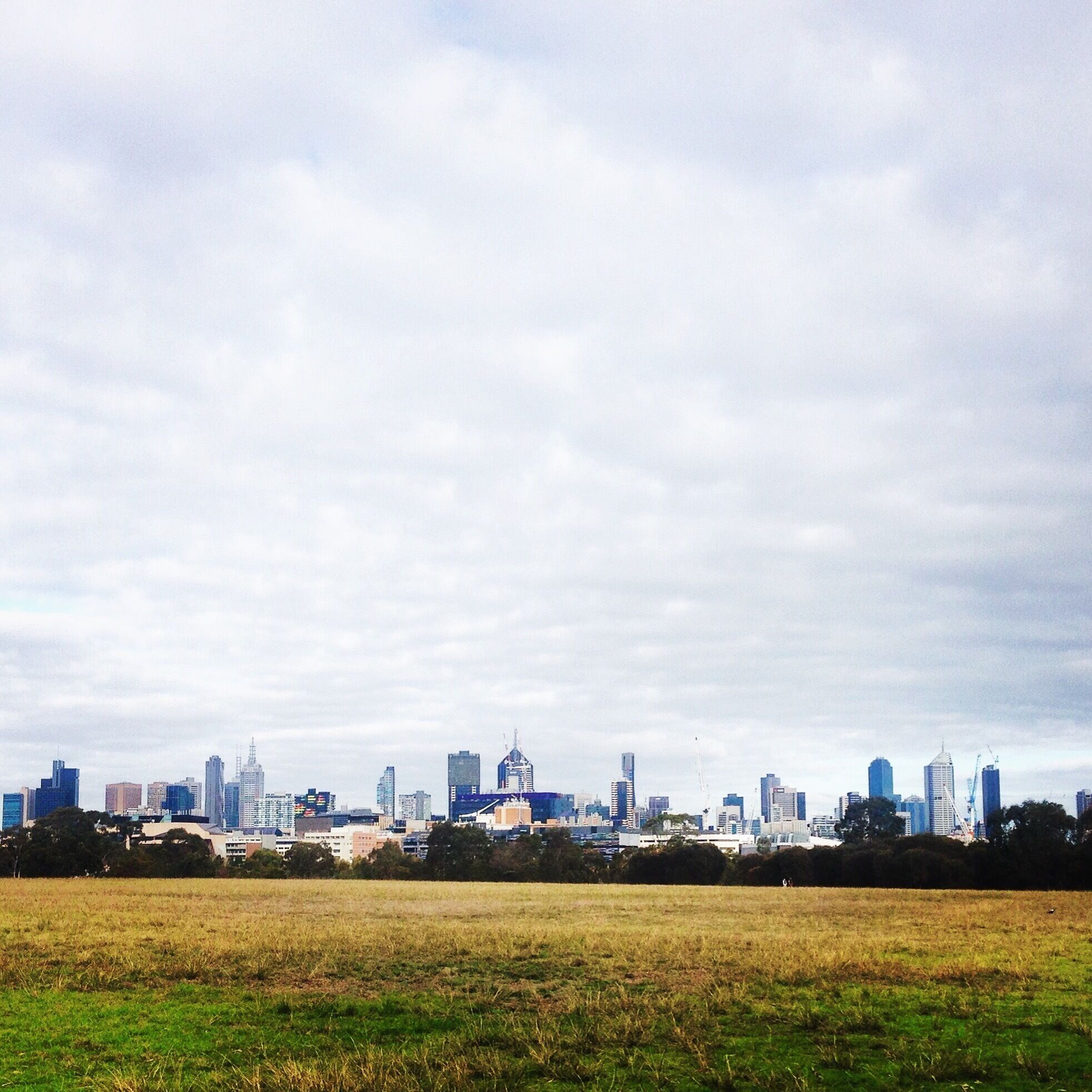 Outside looking in view of Melbourne City, Australia