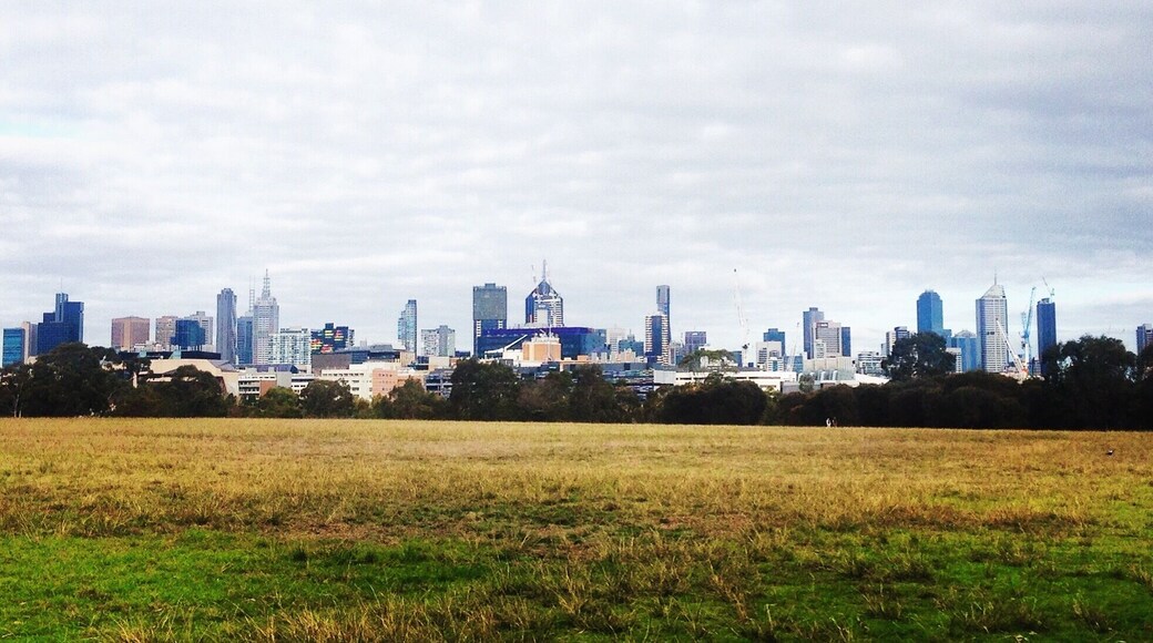 Outside looking in view of Melbourne City, Australia