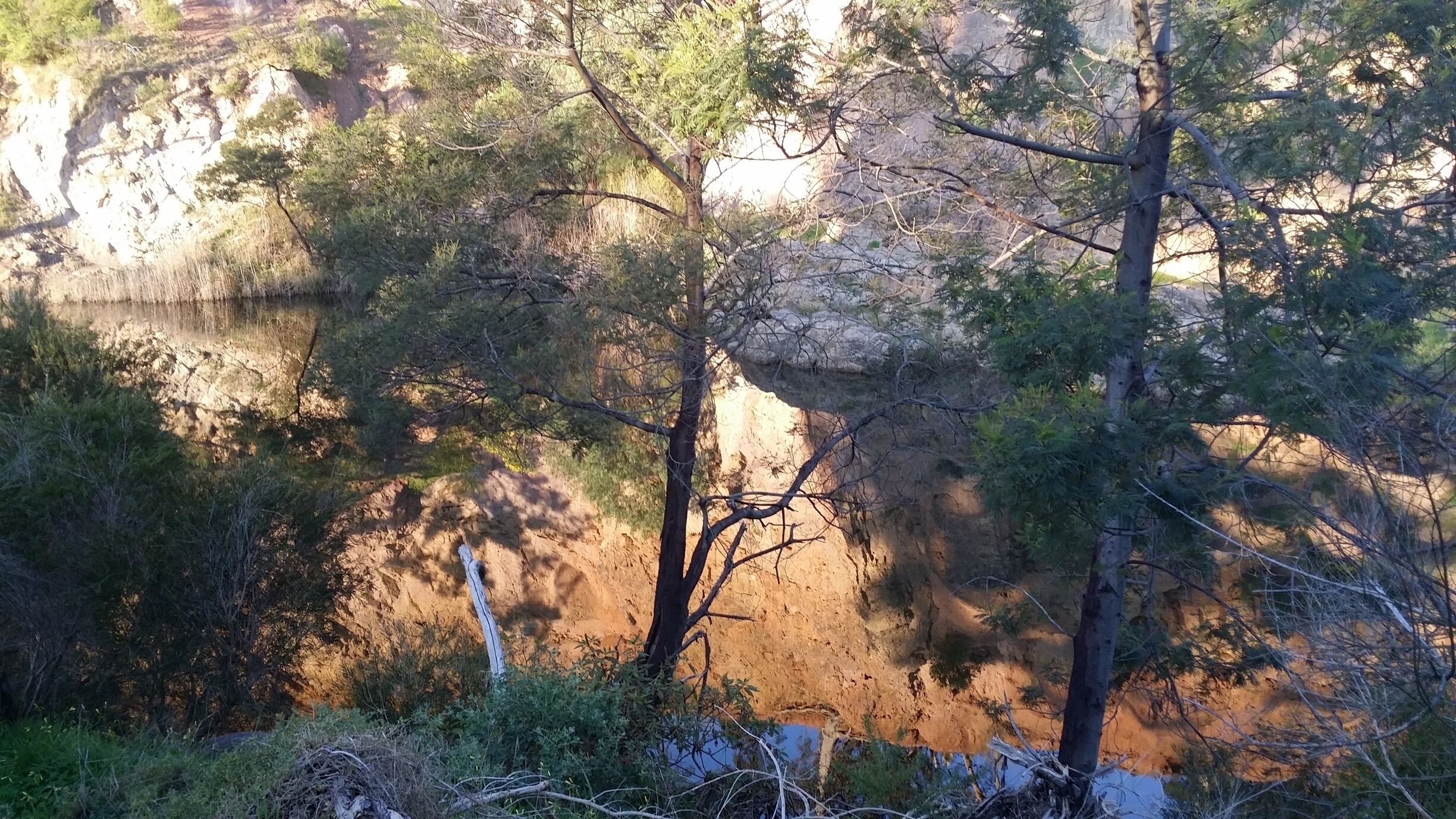 A river surrounded by trees and rocky cliffs.