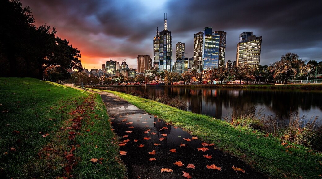 Each season has its charm, and even though I like them all, autumn and spring kind of bring totally new perspective to the photographs. The first blossoms in spring gives us a feeling of joy. On the other hand, the warmth of the golden yellow hues of the foliage in autumn feels like the last explosion of colours before the arrival of the cold winter. And while the people in the Northern Hemisphere this time of the year are enjoying the nice warm weather surrounded by the colourfulness of the blossom trees, here in Melbourne the autumn with its golden leaves is slowly taking place.
This photo was taken near Melbourne CBD last Friday. I love how the yellow golden leaves on the ground create beautiful foreground, give us a feeling to be part of this beautiful golden autumn scenery here in Melbourne that I’m sure it won’t last for much longer.
I hope you like it.
Please feel free to share if you like it and don’t forget to like my page or follow me on Instagram to stay tuned for more updates.
More details about my work:
Instagram: https://www.instagram.com/aleksandar_trpkovski/
Facebook: https://www.facebook.com/AlexTrpkovski/
Website: www.AleksTrpkovski.com