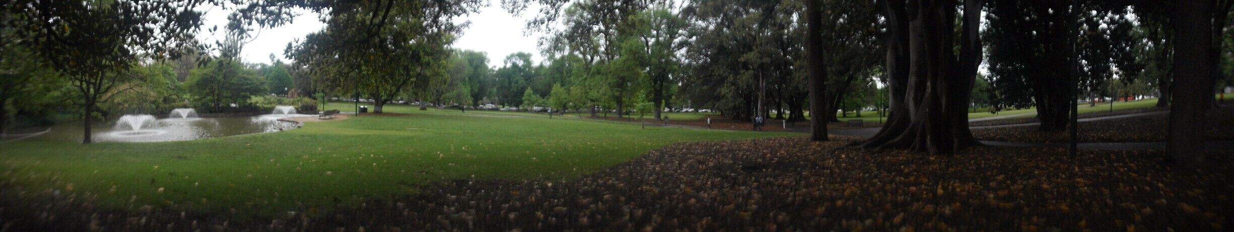 Springtime bloom of the greens.
#2015van-tures #wanderingsnuggbug