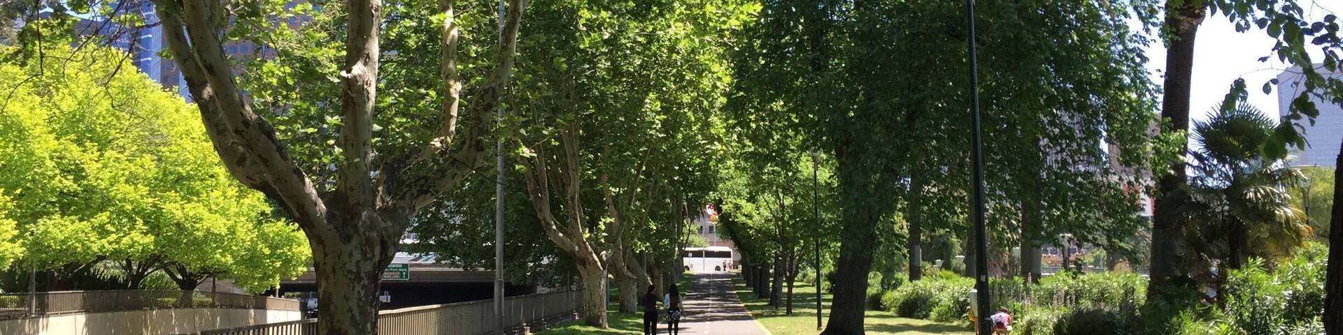 Melbourne has a lot of green space. Alexandra gardens is beautiful.