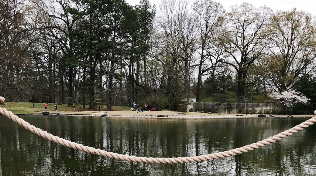 My friend, the goose, at Memphis Botanic Garden