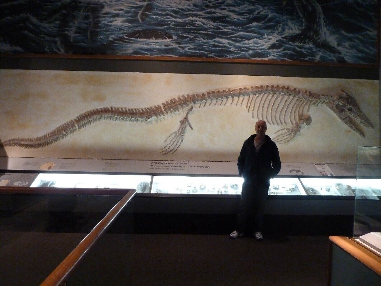 Nice museum in Memphis, TN