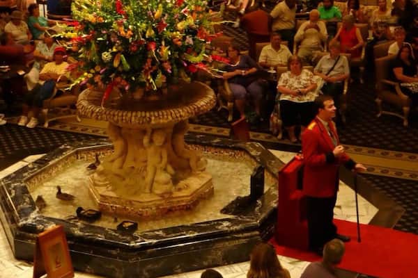 Two words: the ducks. These ducks march into the fountain in the middle of the hotel two times a day, swim around for a while, then march right back out and ride an elevator up to their suite. True story. I couldn't make that up. Peabody Hotel tradition.