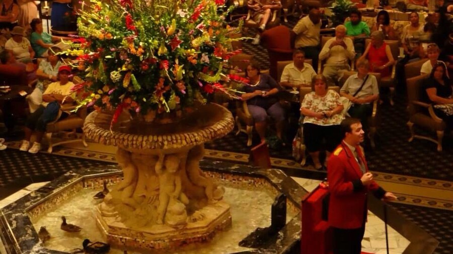 Two words: the ducks. These ducks march into the fountain in the middle of the hotel two times a day, swim around for a while, then march right back out and ride an elevator up to their suite. True story. I couldn't make that up. Peabody Hotel tradition.