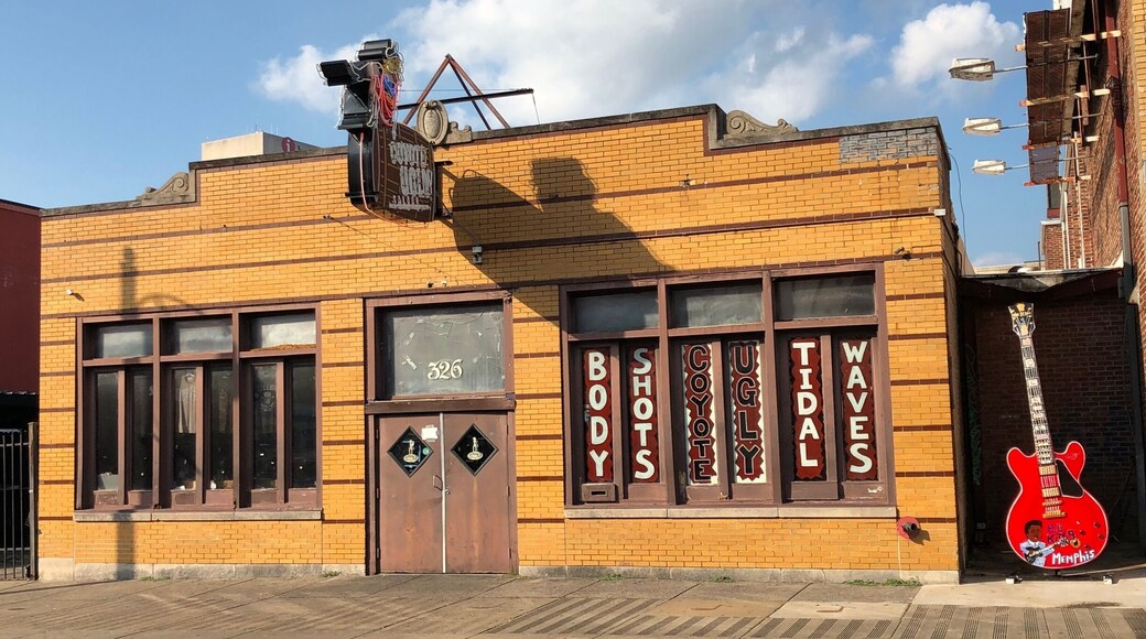 Coyote Ugly (10/2017)