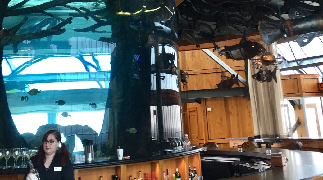 I had heard the bass pro shops were pretty cool but this one takes the prize!
This bass pro shop is not only a store but an attraction. Besides the usual, there is an elevator that will take you to the top of the pyramid. Once at the top, you can choose to sit at a beautiful bar (shown in the picture), which I found out serves as a venue for special events. I don't even want to think about the amount of money it would cost though. In addition, you can step outside into the balcony for a view of the city and the river.