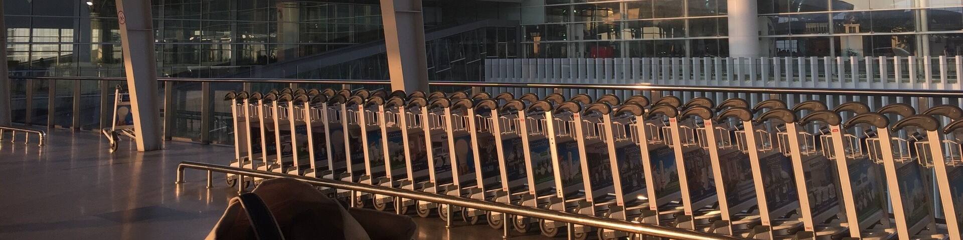 A modern airport terminal with a glass facade, rows of luggage carts, and a distinctive ceiling design.