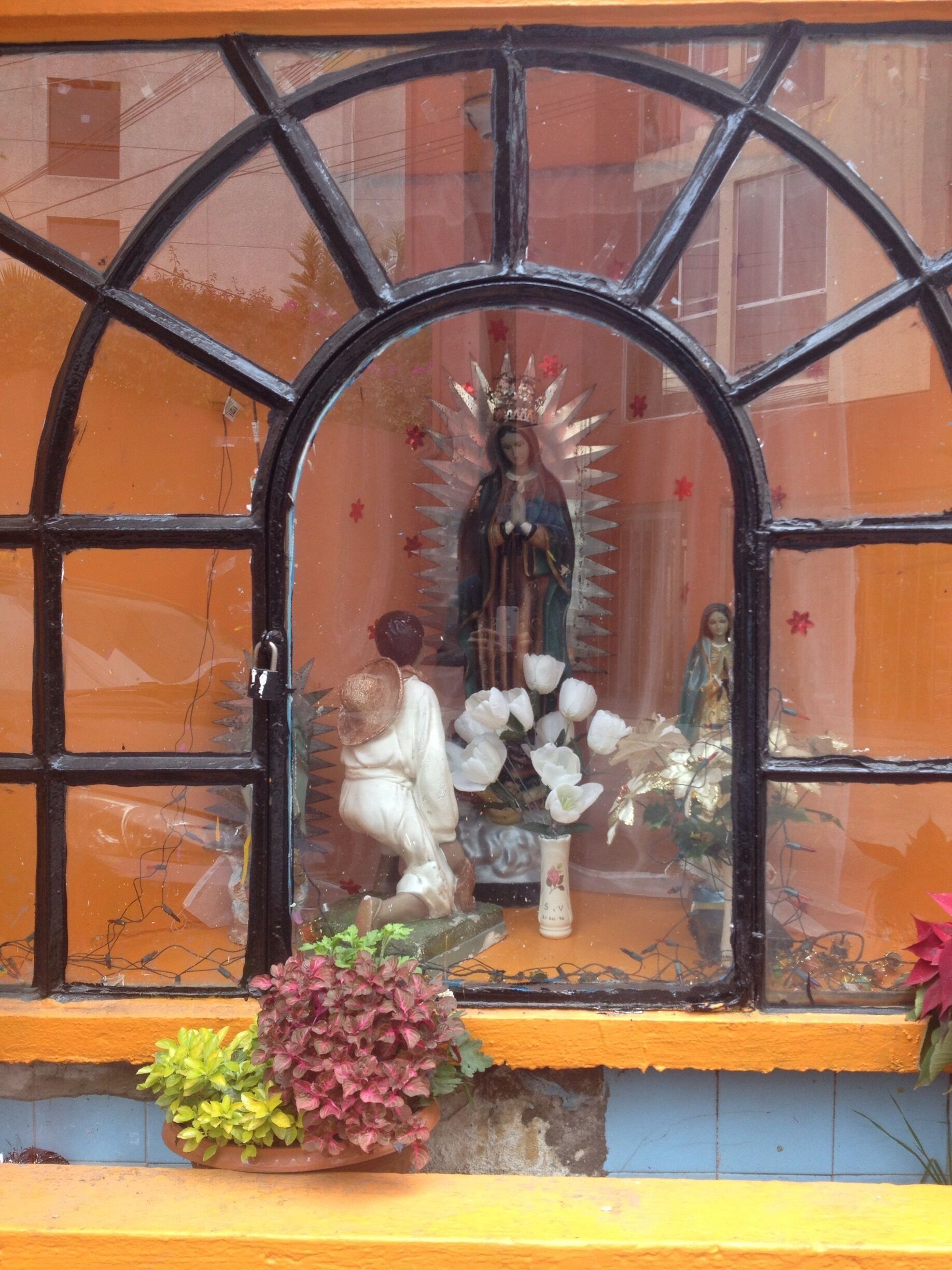 I created the Holy list to show the diversity of altars, thought it could be interesting. Mexico is a mainly Catholic country, and the majority is devoted to the Virgin of Guadalupe. 

Hope you enjoy it :)

#outdoors #religion #devotion #tradition #travel #troveon #mexico #virgin #altar