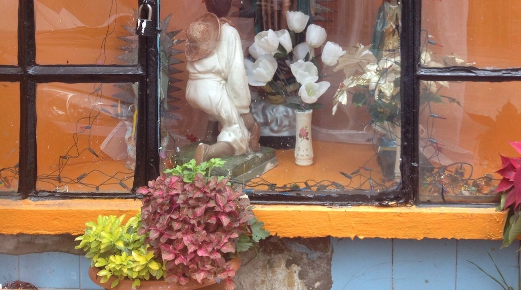 I created the Holy list to show the diversity of altars, thought it could be interesting. Mexico is a mainly Catholic country, and the majority is devoted to the Virgin of Guadalupe.
Hope you enjoy it :)
#outdoors #religion #devotion #tradition #travel #troveon #mexico #virgin #altar