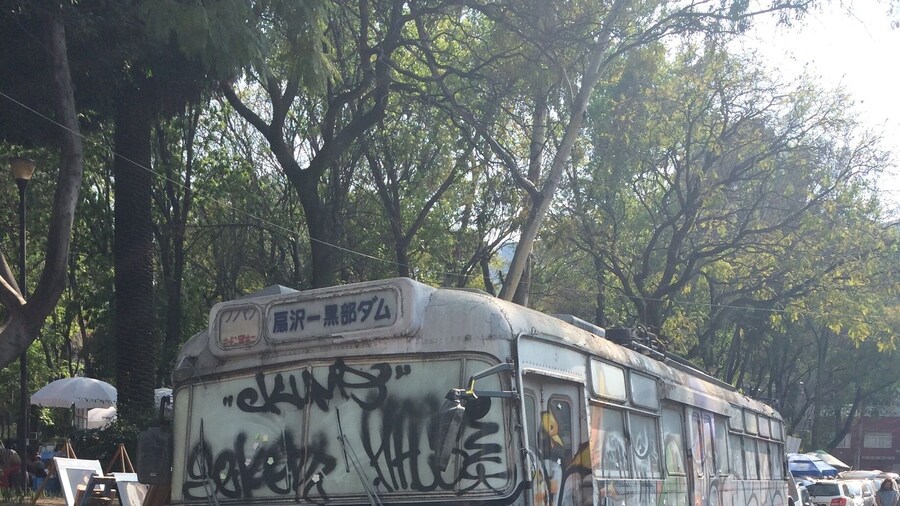 Garden of art @ Mexico City