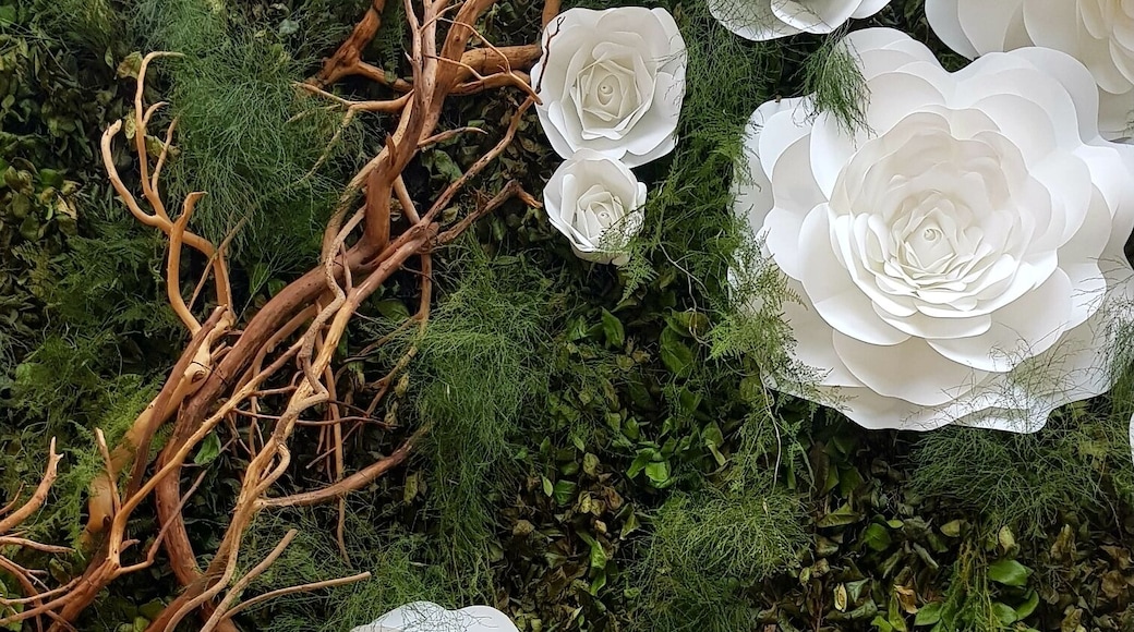 #flowers #green #lifeatexpedia #weloveourmarkets #latam #mexicocity #polanco