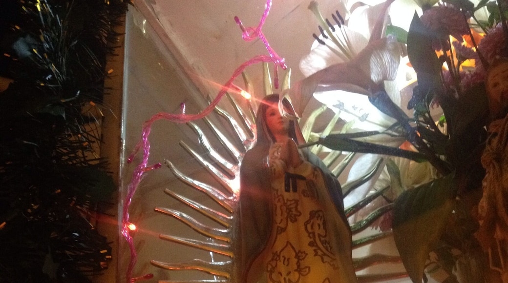 I created the Holy list to show the diversity of altars, thought it could be interesting. Mexico is a mainly Catholic country, and the majority is devoted to the Virgin of Guadalupe.
Hope you enjoy it :)
#outdoors #religion #devotion #tradition #travel #troveon #mexico #virgin #altar