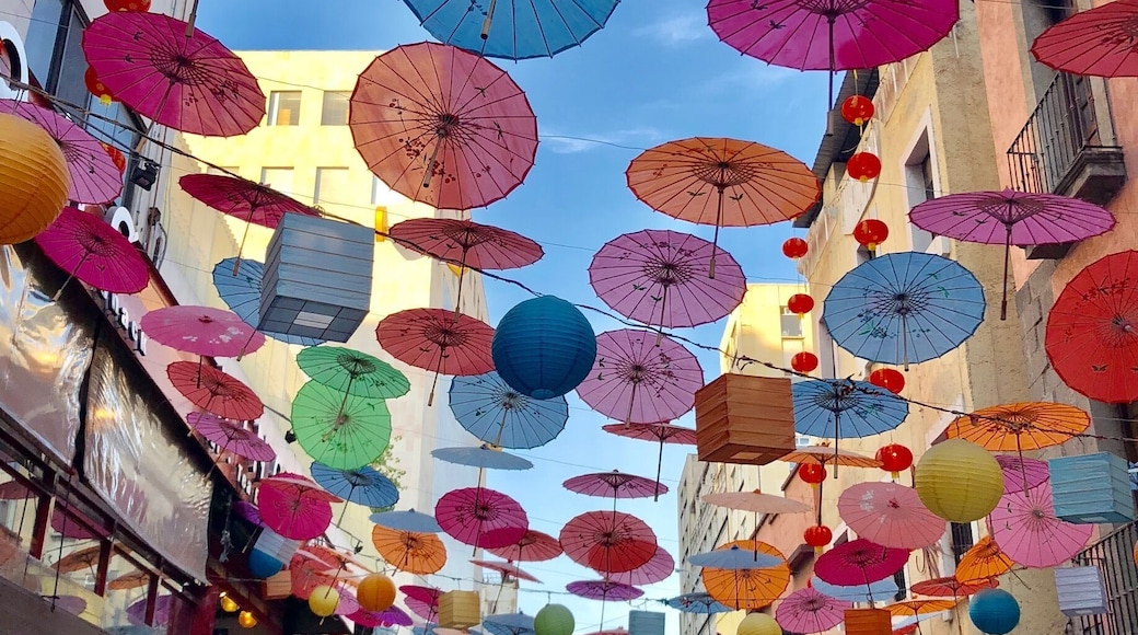 Zocalo district in Ciudad de Mexico, is major attraction for tourists around the world. With over 150 museums Mexico City remains second largest on the chart for number of historic museums, London being the first. In less than 3 hours of direct service from LAX, it is a great weekend getaway. We stayed in city center and enjoyed the city vibes. There is a wide choice of street food and the vendors keep changing during the day. Fresh corn on the cob was ridiculously sweet and to die for🇲🇽🌽