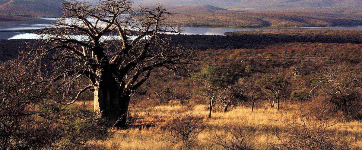 Musina which includes landscape views, a river or creek and tranquil scenes