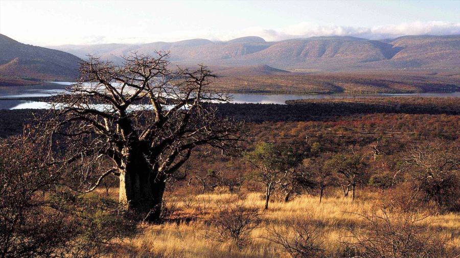 Musina which includes landscape views, a river or creek and tranquil scenes