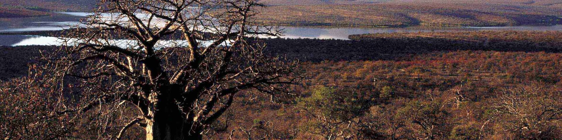 Musina which includes landscape views, a river or creek and tranquil scenes