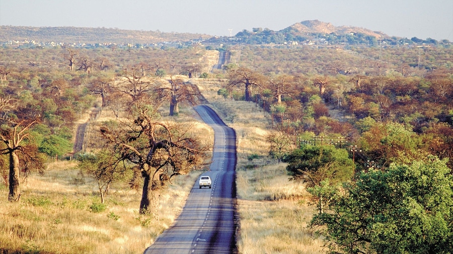 Musina showing tranquil scenes and landscape views