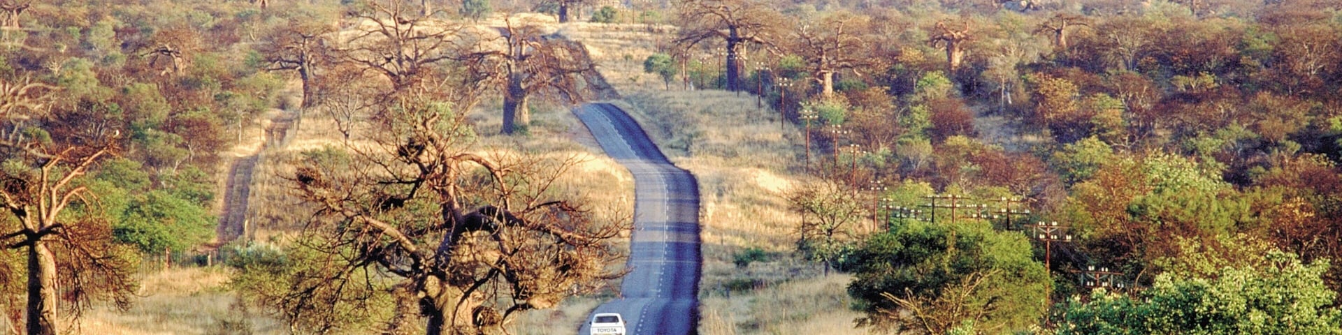 Musina showing tranquil scenes and landscape views