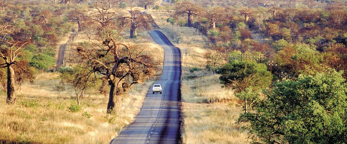 A winding road through a savanna landscape with sparse trees and distant hills.