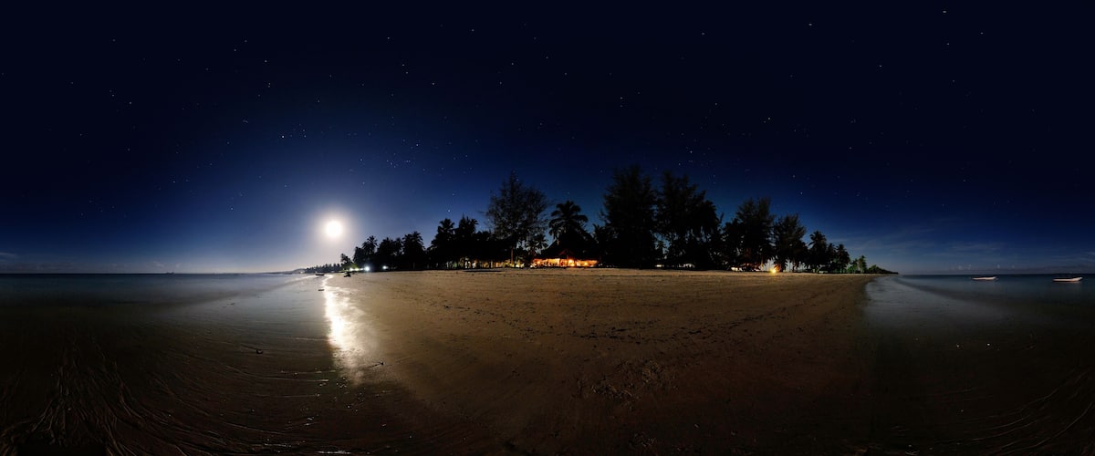 A beach at night with a bright moon, palm trees, and a small illuminated structure.