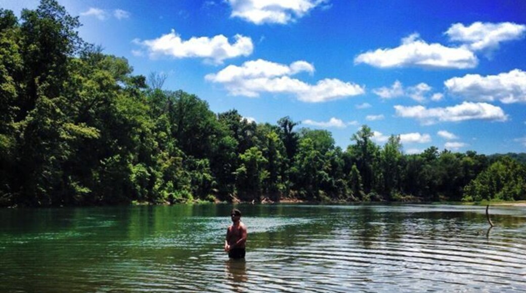 In small town Doniphan, Missouri you'll find a river with crystal clear water and excellent fishing. Wade in for a refreshing swim on a hot summer day or take your fishing pole out to catch some walleye or bass.
#blue #bestof5 #currentriver #fishing #Missouri #pagesoftravel