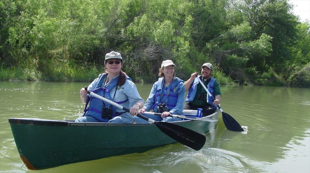 McAllen mostrando vistas de paisajes, kayak o canoa y un río o arroyo