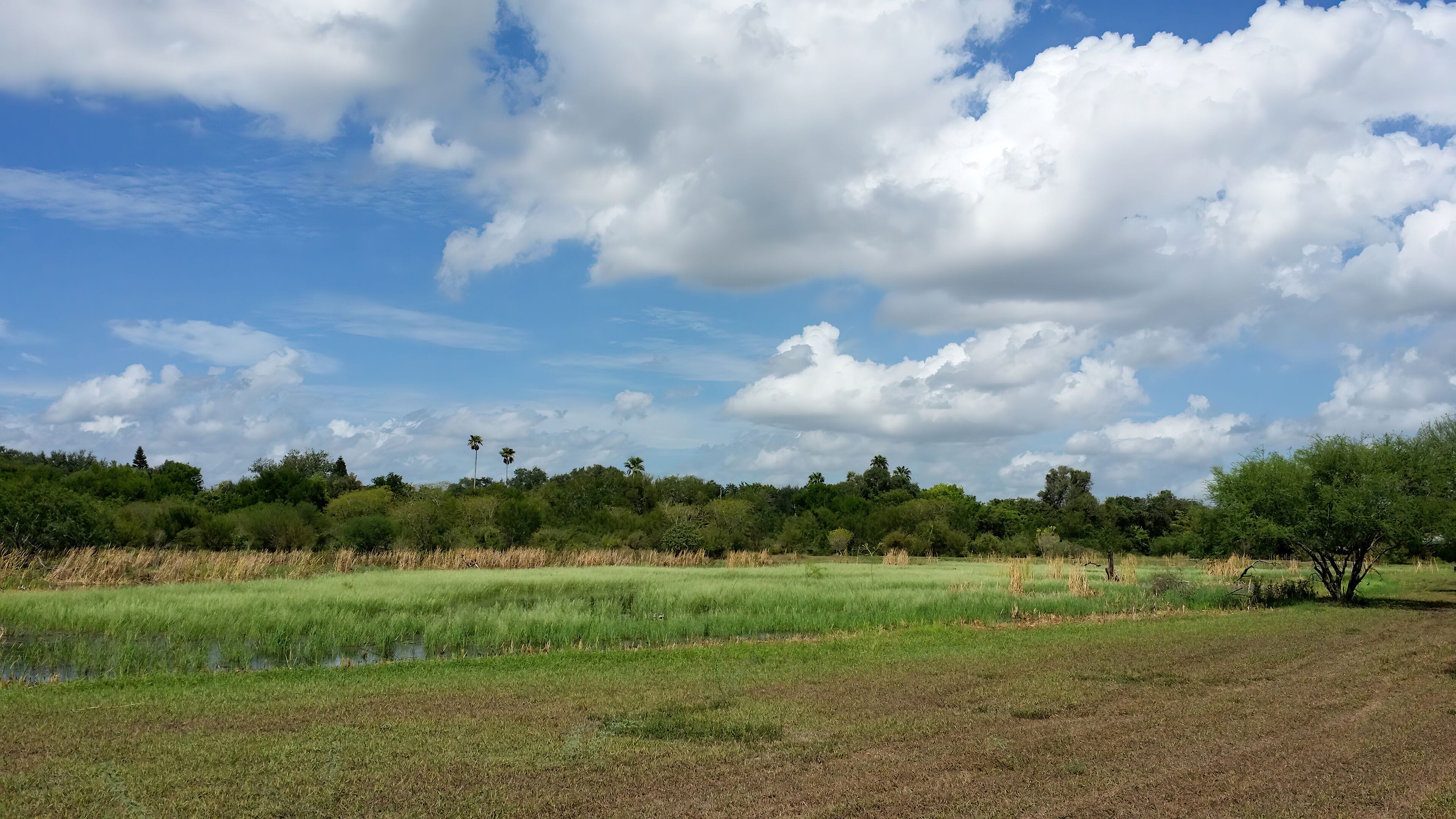 Estero Llano Grande State Park in Texas