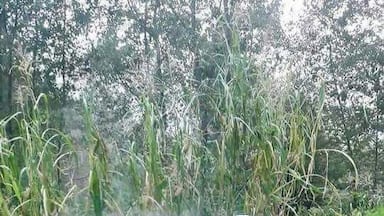 Kashmir Culture Showing its distinct Beauty
Muzaffarabad
Azad Kashmir