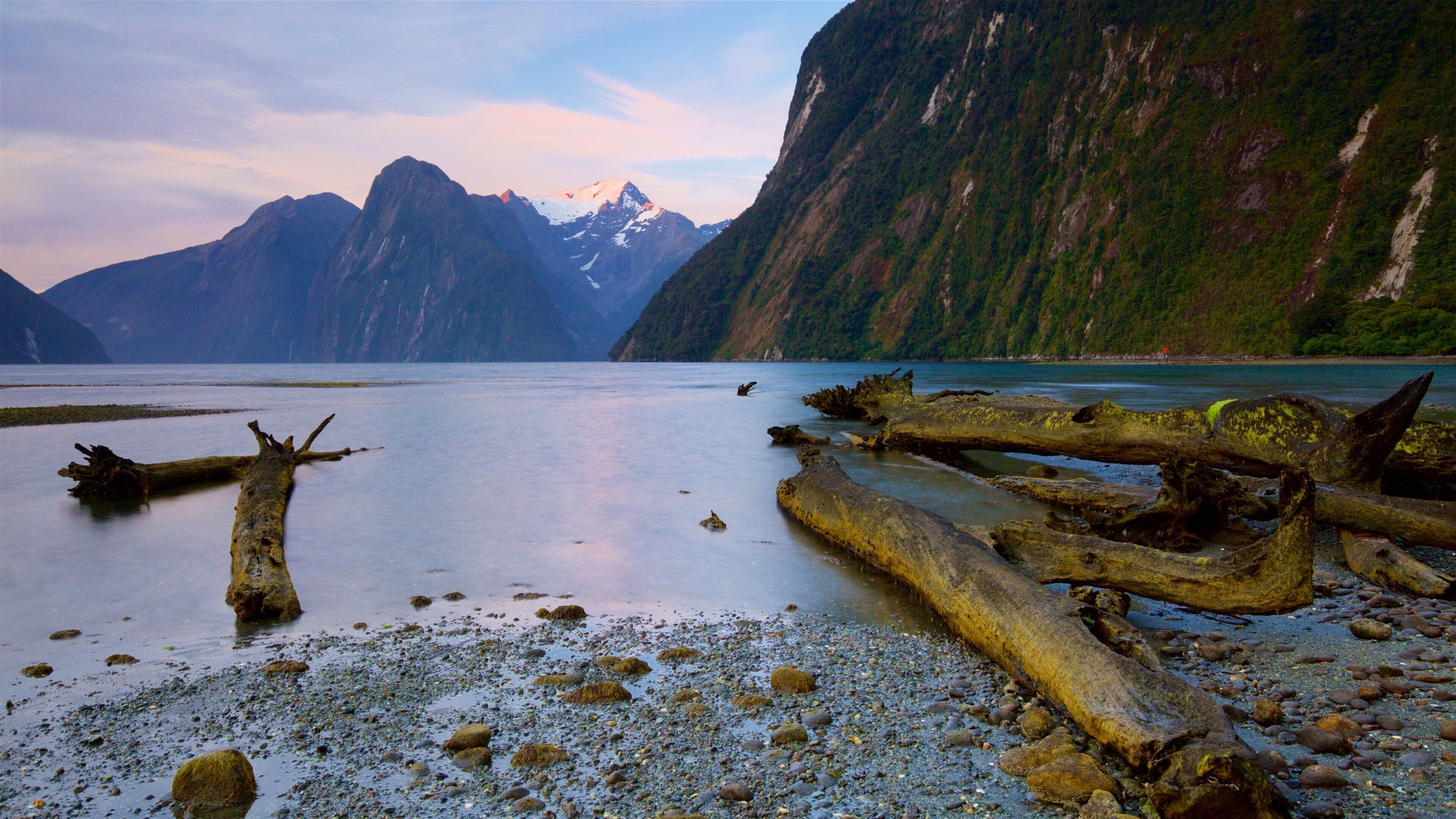 A calm lake with driftwood and rocks, surrounded by mountains and a clear sky.