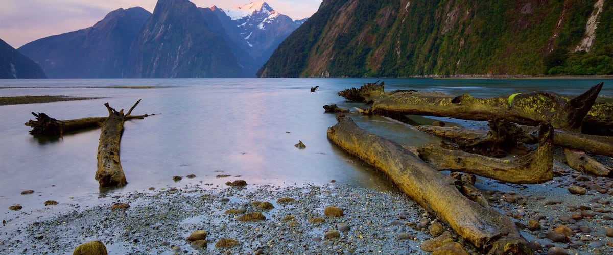 A calm lake with driftwood and rocks, surrounded by mountains and a clear sky.
