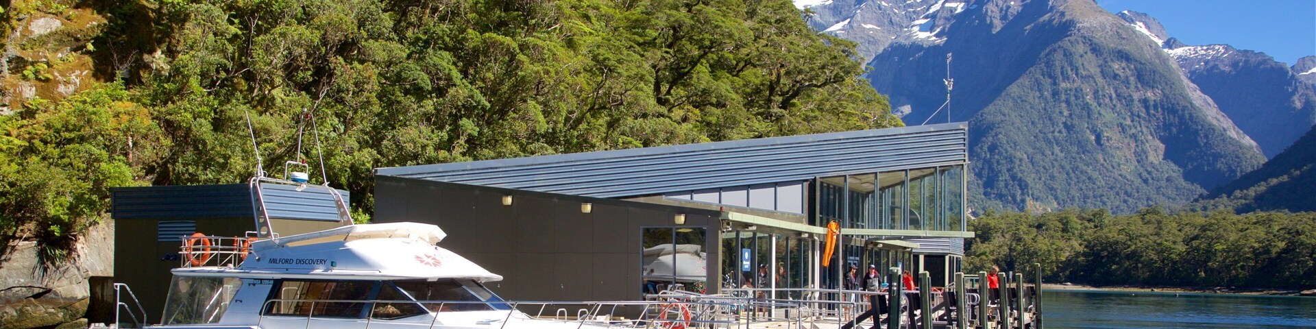 Milford Sound featuring forests, mountains and boating