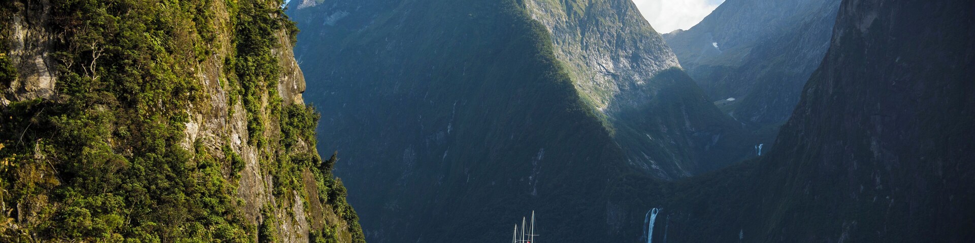 New Zealand SEO Uploads