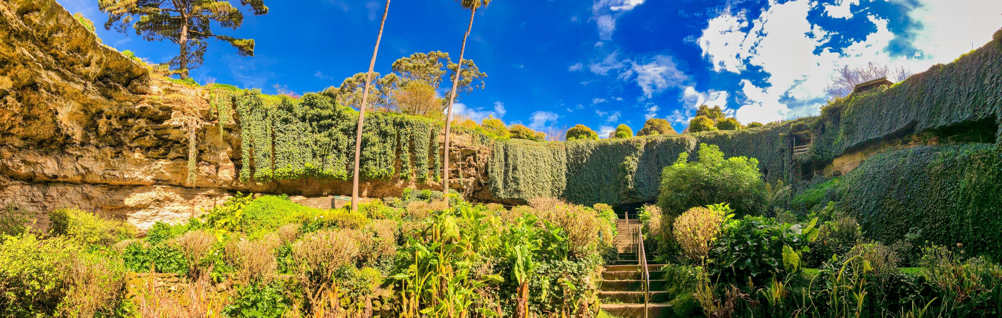 A lush garden with a staircase leading up a rocky cliff, surrounded by dense vegetation and trees.