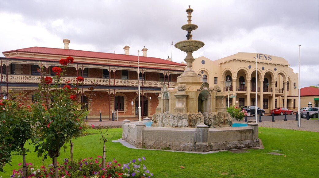 Mount Gambier mit einem Wildblumen, Garten und Springbrunnen