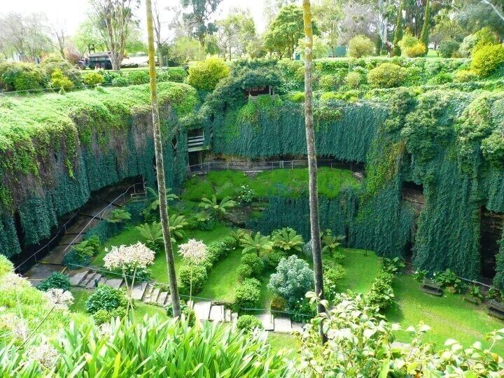 Umpherston Sinkhole
Mt Gambier
South Australia
