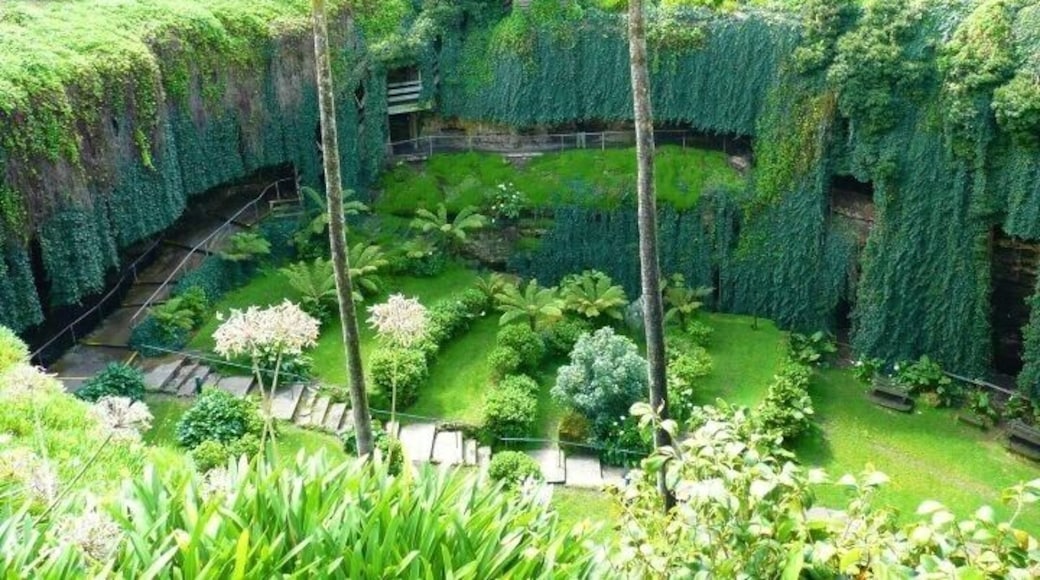 Umpherston Sinkhole
Mt Gambier
South Australia