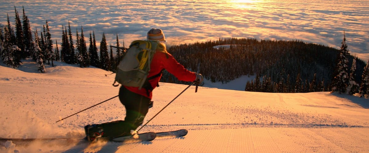 A skier on a snowy slope with a forest and mountains in the background.