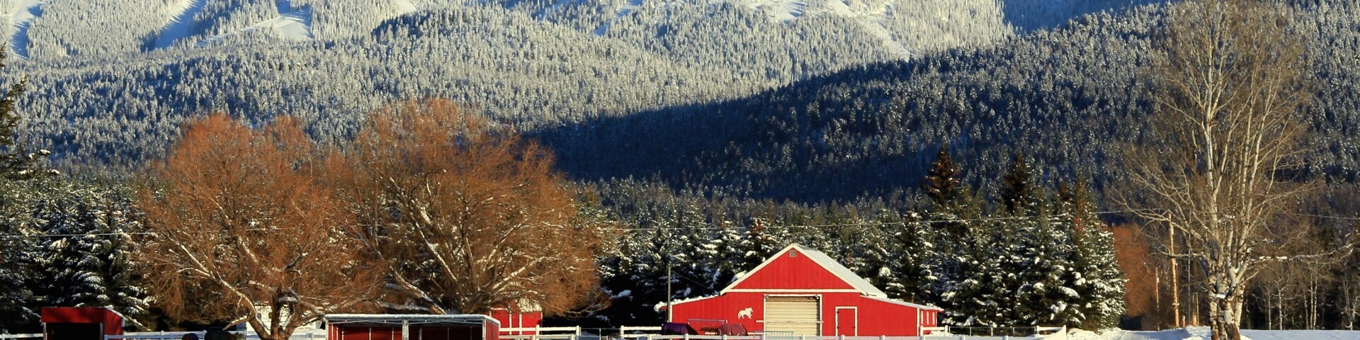 Montana showing mountains, snow and farmland
