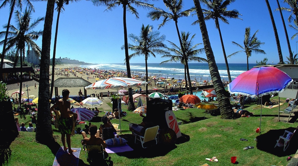 Margate showing tropical scenes, a coastal town and a park