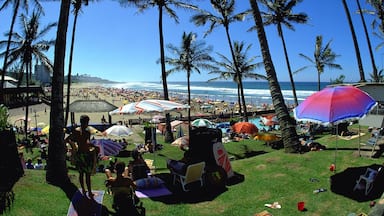 Margate featuring a garden, a coastal town and tropical scenes