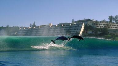 Margate showing surf, general coastal views and marine life