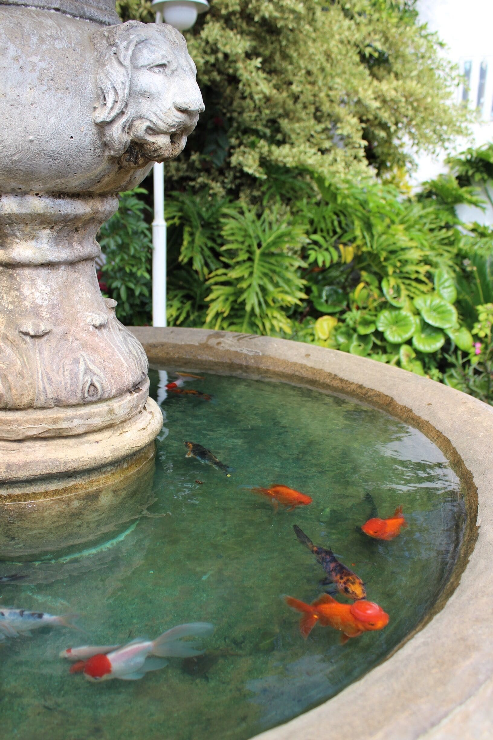 Hidden beach lodge with an amazing private beach ...