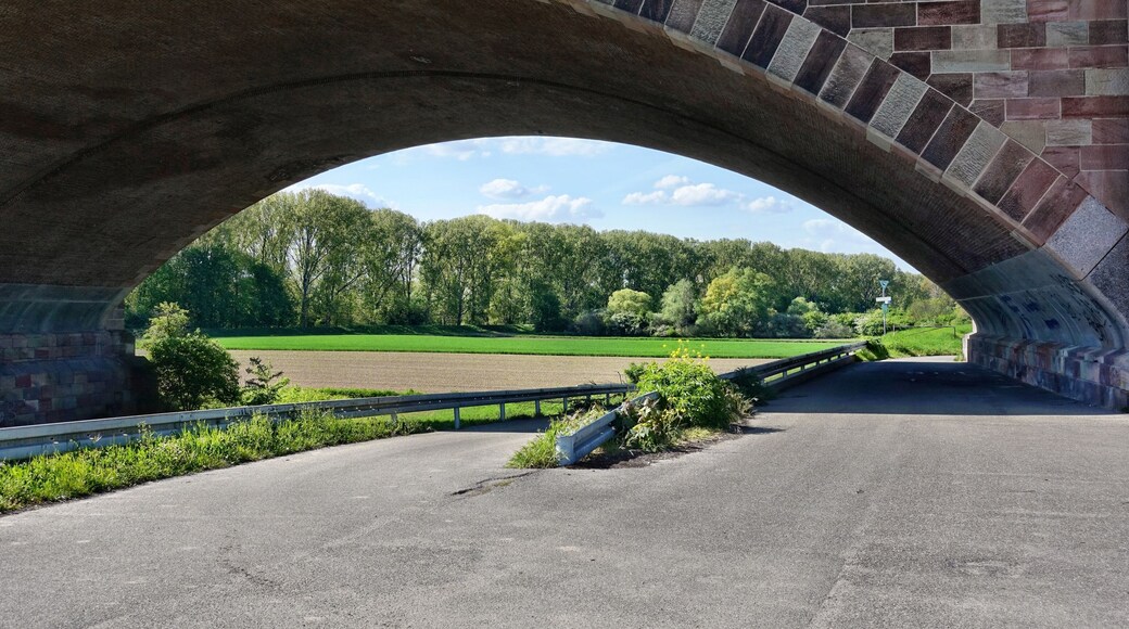 Theodor-Heuss-Bridge, German federal motorway "Autobahn 6" over the Rhine near Mannheim/Ludwigshafen/Frankenthal, view through the Eastern arch to the nature reserve Ballauf-Wilhelmswörth