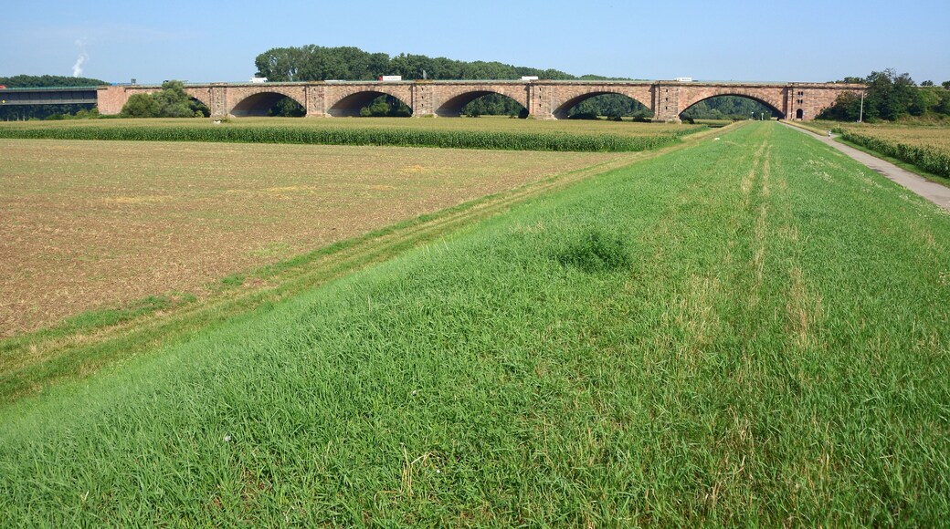 Theodor-Heuss-Bridge, German federal motorway "Autobahn 6 over the Rhine near Mannheim/Ludwigshafen/Frankenthal, part at the right banks of the Rhine near Mannheim-Sandhofen, view from South