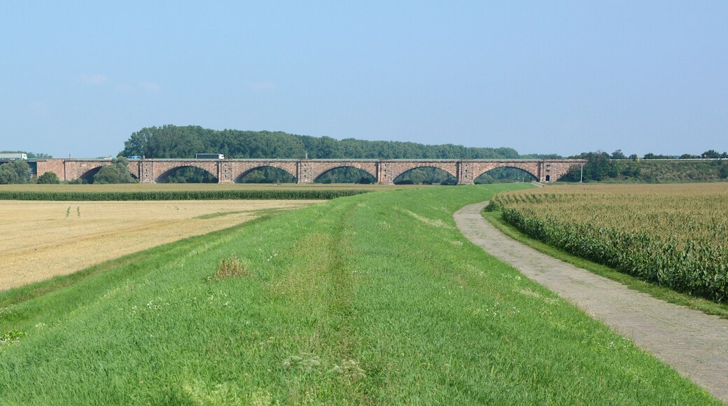 Theodor-Heuss-Bridge, German federal motorway "Autobahn 6 over the Rhine near Mannheim/Ludwigshafen/Frankenthal, view from flood dam near Mannheim-Sandhofen north (distance about 850 meters)