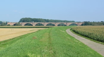 Theodor-Heuss-Bridge, German federal motorway "Autobahn 6 over the Rhine near Mannheim/Ludwigshafen/Frankenthal, view from flood dam near Mannheim-Sandhofen north
